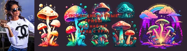 ешки Белоозёрский