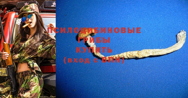 первитин Белокуриха