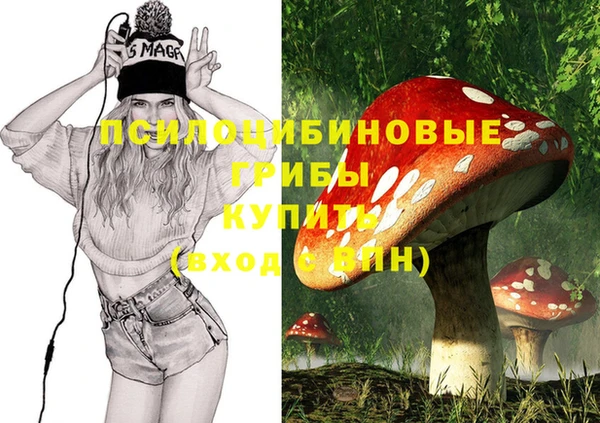 apvp Беломорск