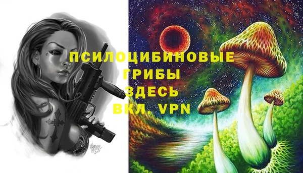 apvp Беломорск