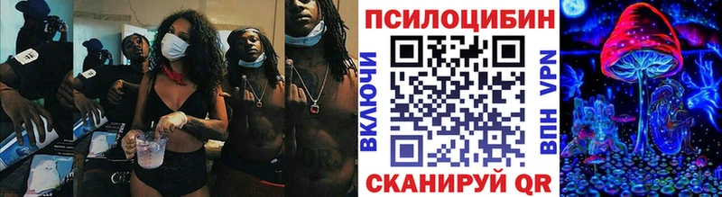 Псилоцибиновые грибы Cubensis  Серафимович 